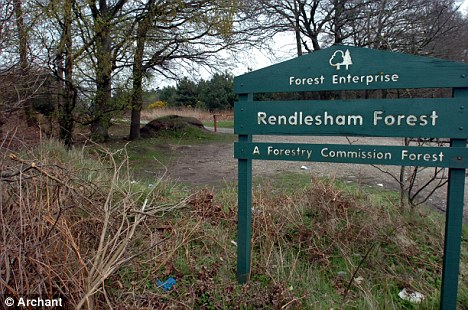 Rendlesham ufo sign